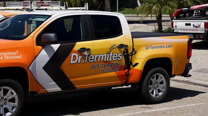 Termite Inspection