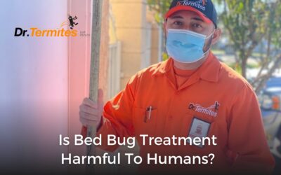 Is Bed Bug Treatment Harmful to Humans?