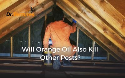 Will Orange Oil also Kill Other Pests?