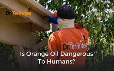 Is Orange Oil Dangerous To Humans?