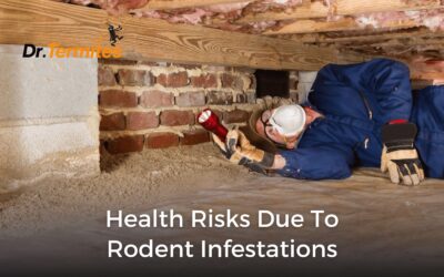 Health Risks Due to Rodent Infestations