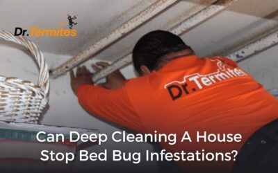 Can Deep Cleaning a House Stop Bed Bug Infestations?