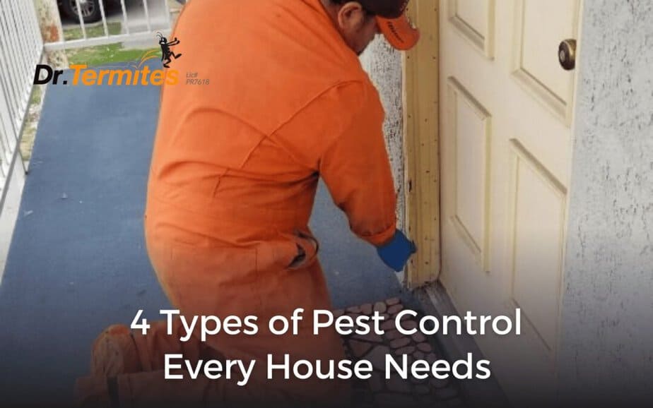 4 Types of Pest Control Every House Needs