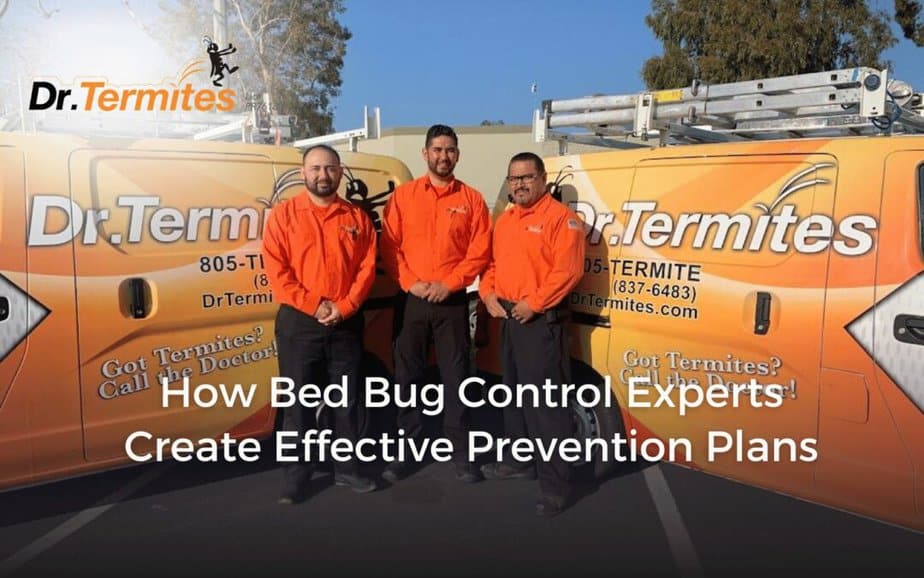 How Bed Bug Control Experts Create Effective Prevention Plans