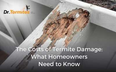 The Costs of Termite Damage: What Homeowners Need to Know