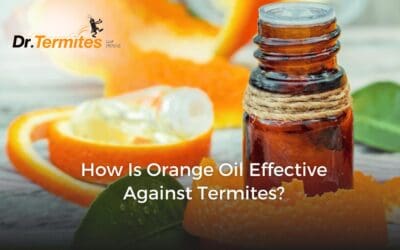 How Is Orange Oil Effective Against Termites?