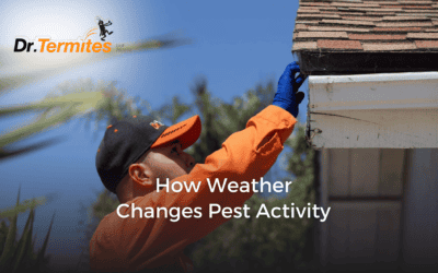 How Weather Changes Pest Activity