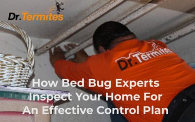 How Bed Bug Experts Inspect Your Home for An Effective Control Plan