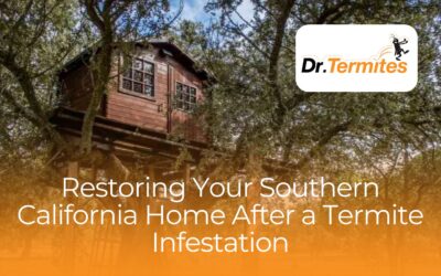 Restoring Your Southern California Home After a Termite Infestation