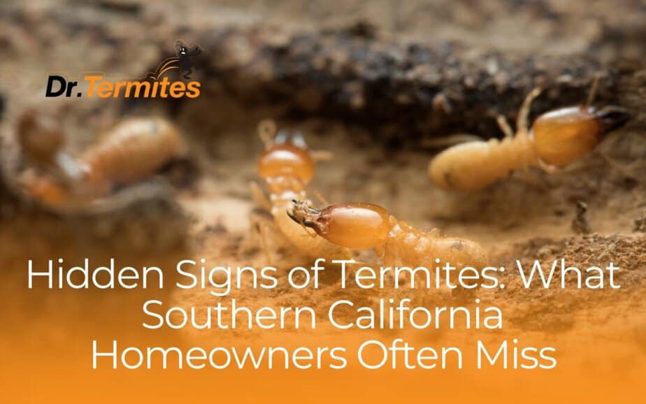 Hidden Signs of Termites:  What Southern California Homeowners Often Miss