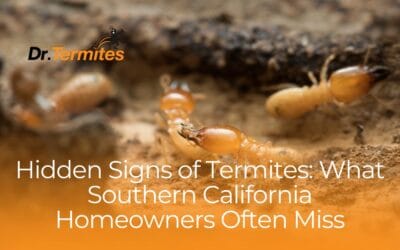 Hidden Signs of Termites:  What Southern California Homeowners Often Miss